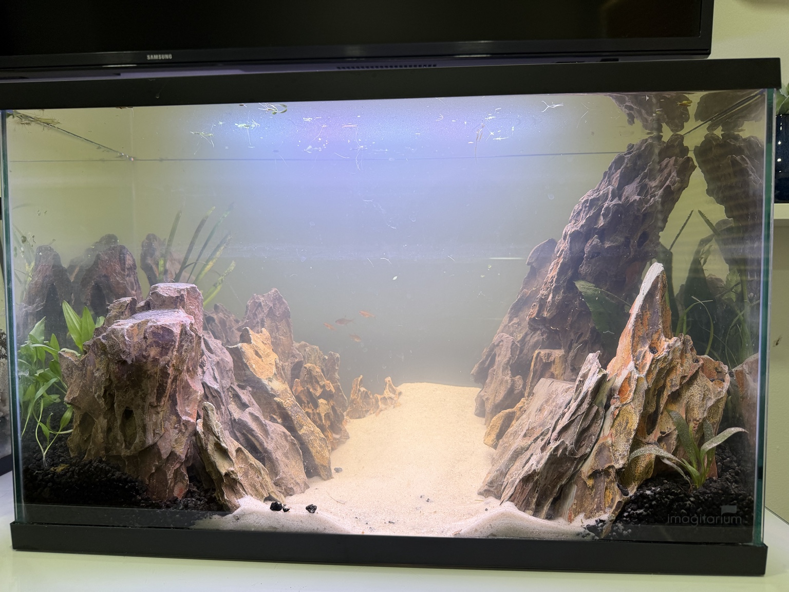 Custom canyon aquascape with sculptural stone and white sand