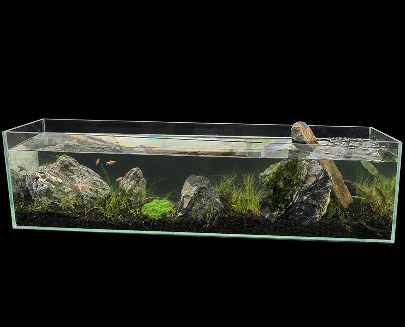 The Desktop Iwagumi minimalist aquascape against a black background
