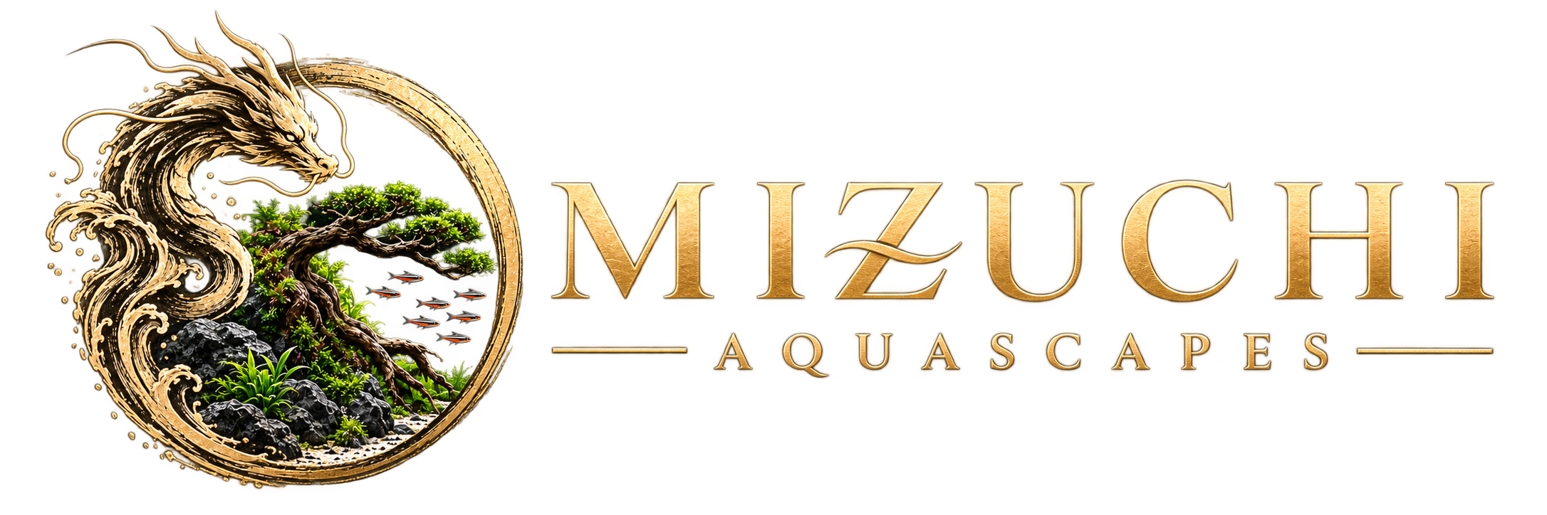 Mizuchi Aquascapes dragon logo