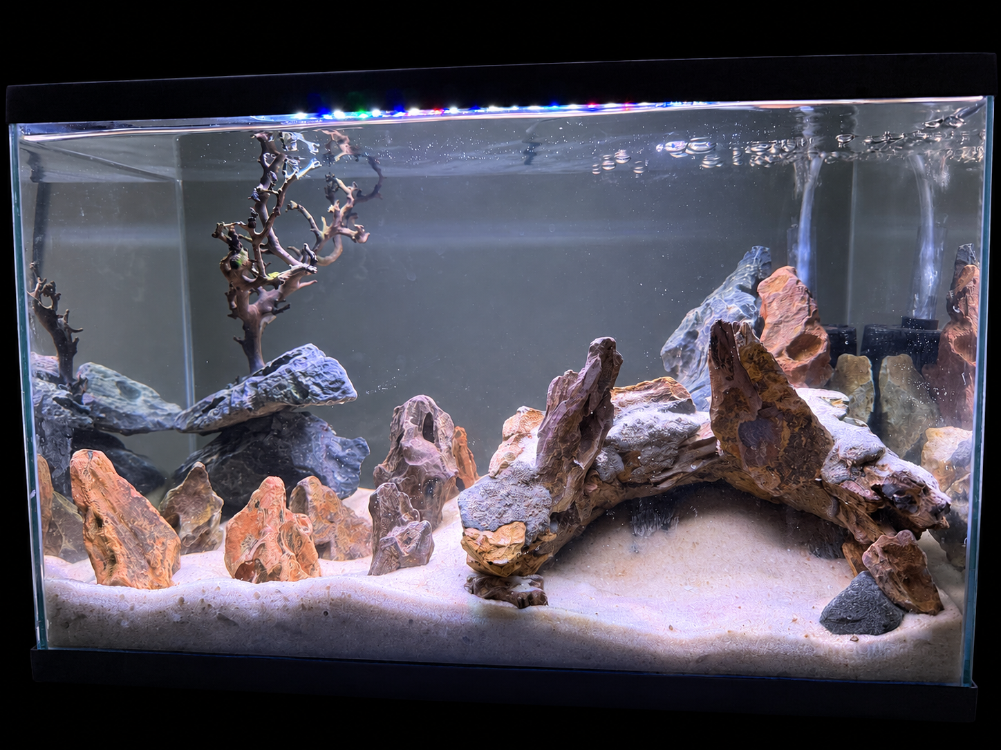 The Stone Ruins aquascape against a black background
